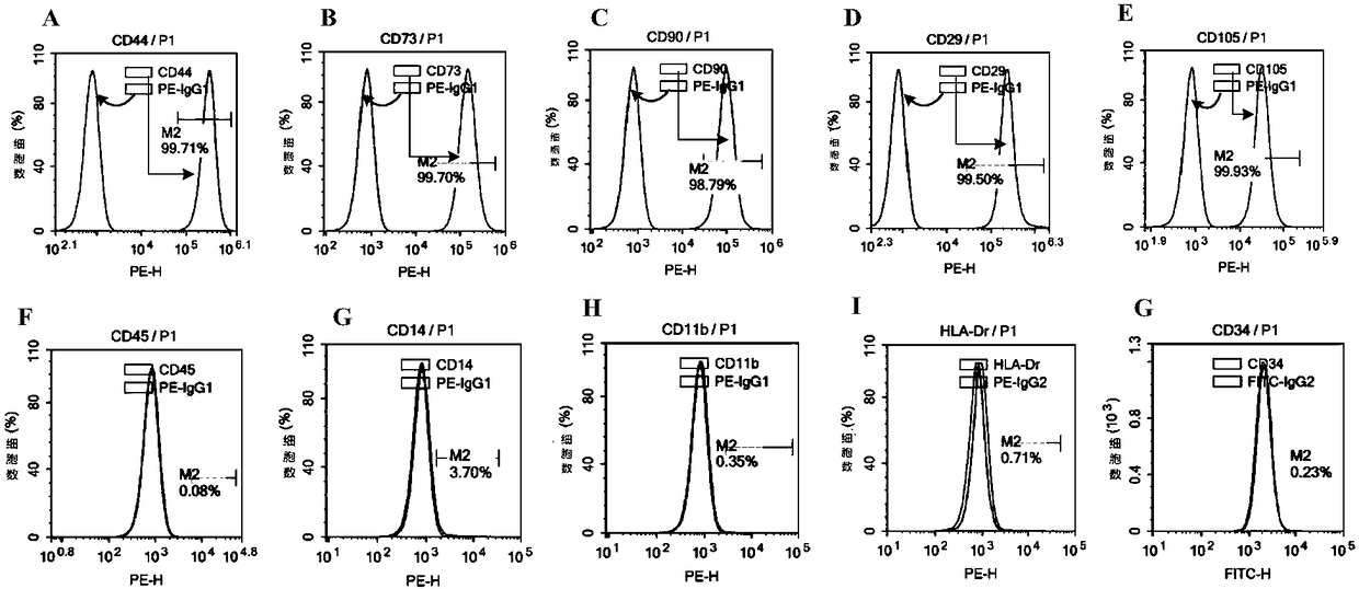 Method for culturing human umbilical cord mesenchymal stem cells