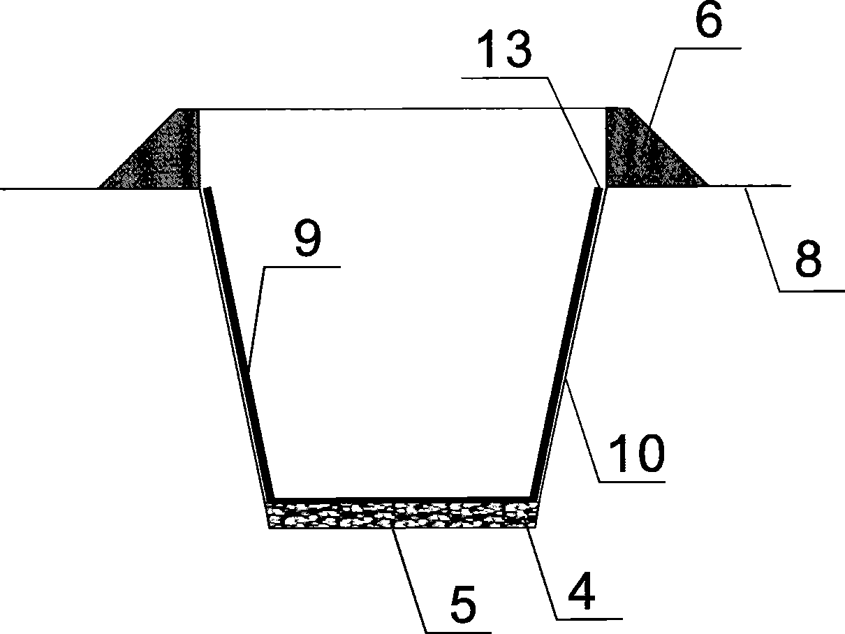 Sylvicultural method on argillaceous saline soil