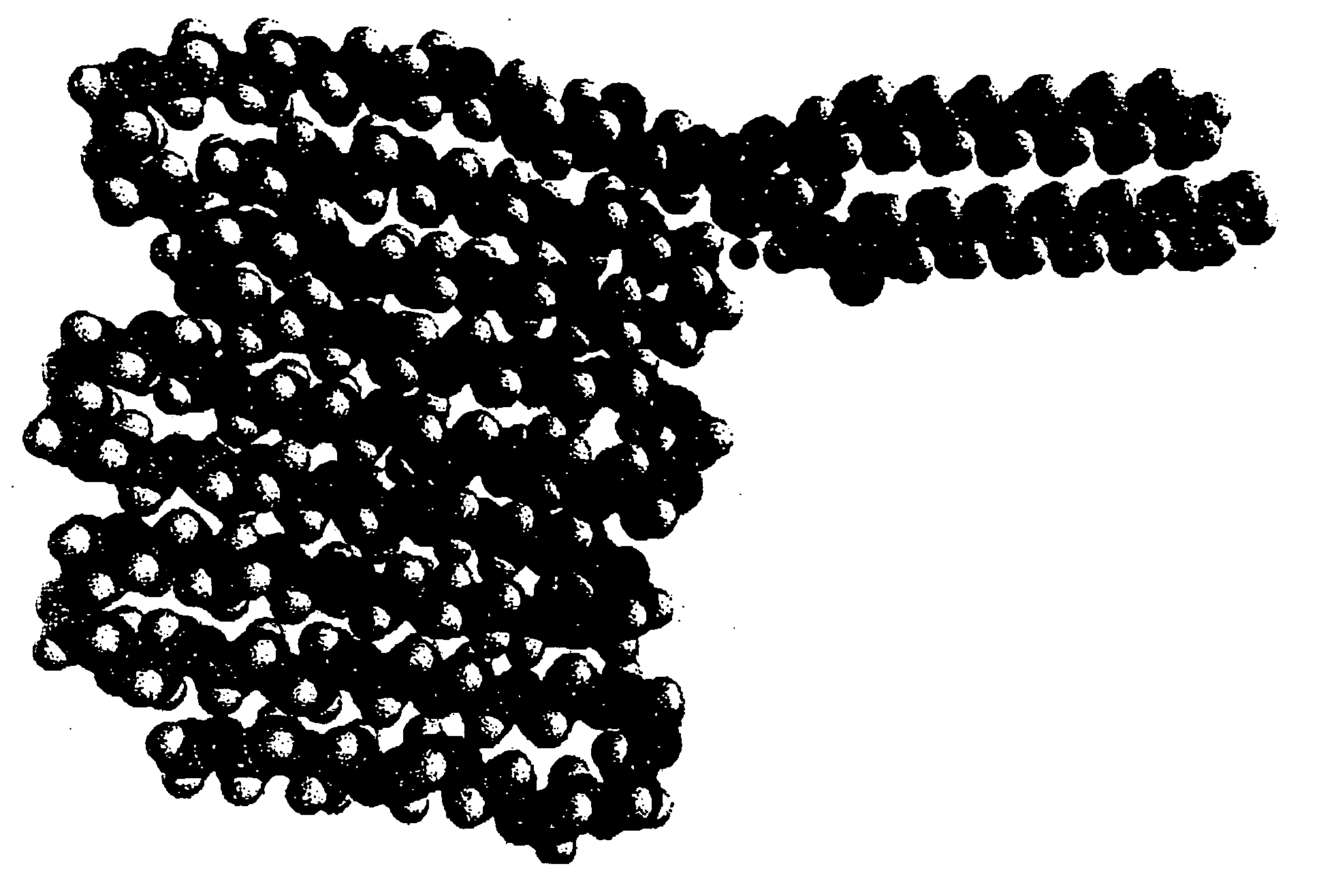 RGD peptide attached to bioabsorbable stents