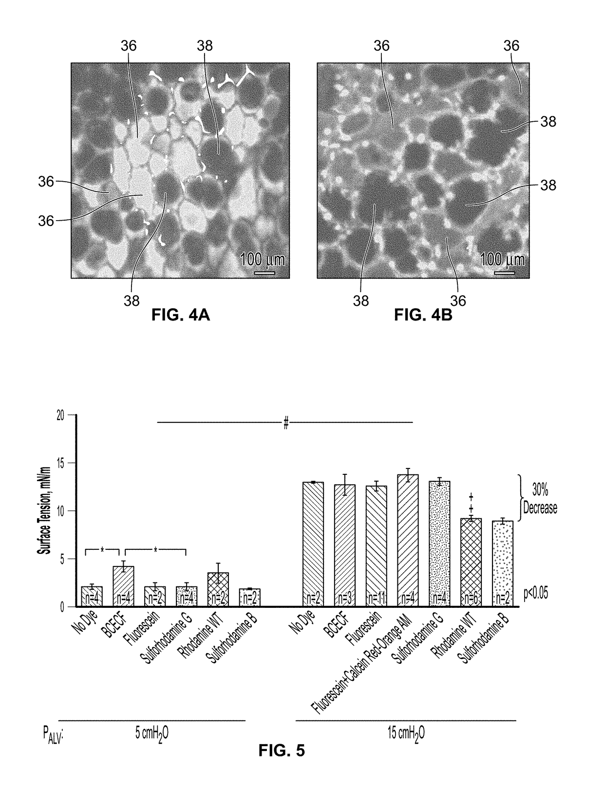 Use of rhodamine dyes to reduce alveolar surface tension