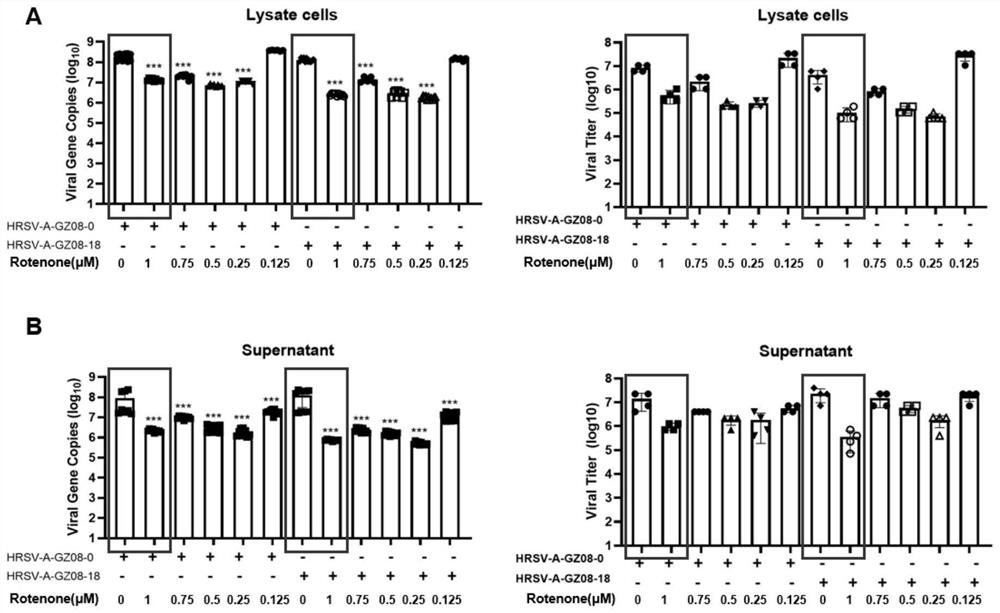 Pharmaceutical composition for treating and preventing respiratory tract pathogen infection and application