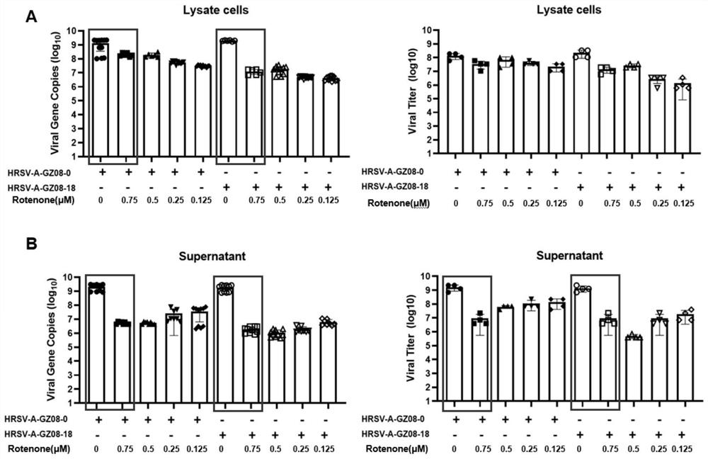 Pharmaceutical composition for treating and preventing respiratory tract pathogen infection and application