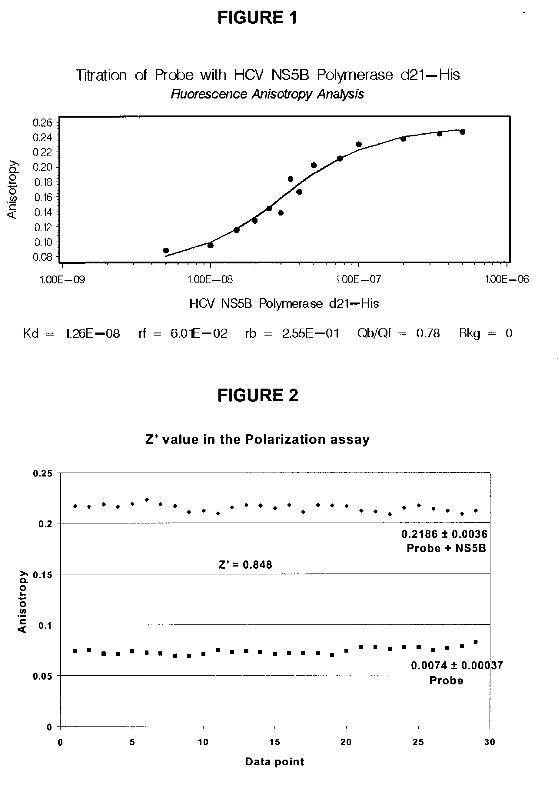 Direct binding assay for identifying inhibitors of HCV polymerase