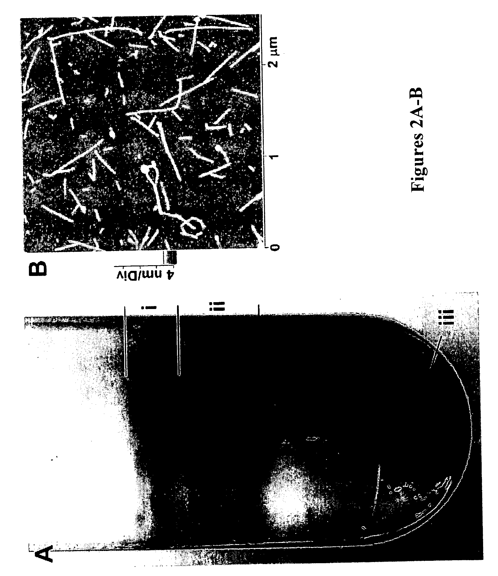 Separation of carbon nanotubes in density gradients