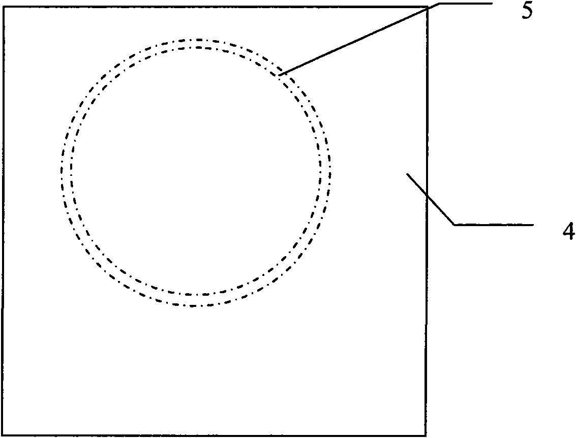 Demonstration device for generating Cheshire cat optical illusion and demonstration method