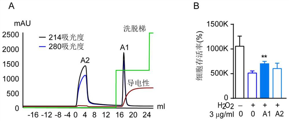 Polypeptides, compositions and applications thereof