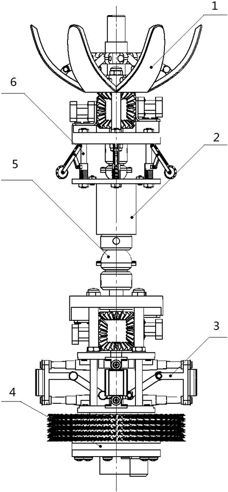 Hose cleaning robot