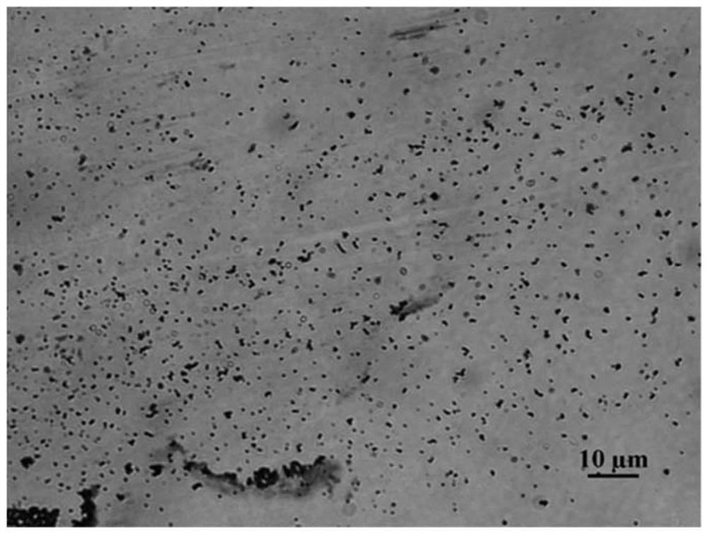 A strain of Bacillus mohewei b282 and its application