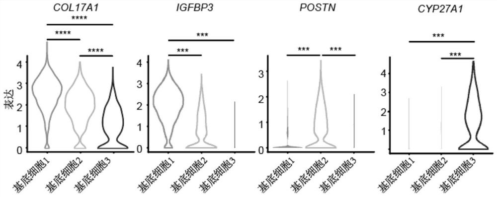 Molecular marker for human skin aging and regulation target and application thereof