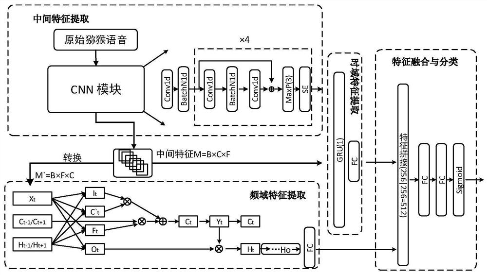 Macaque emotion recognition method and system based on time-frequency double-branch features