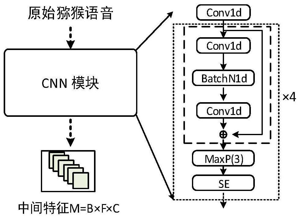 Macaque emotion recognition method and system based on time-frequency double-branch features