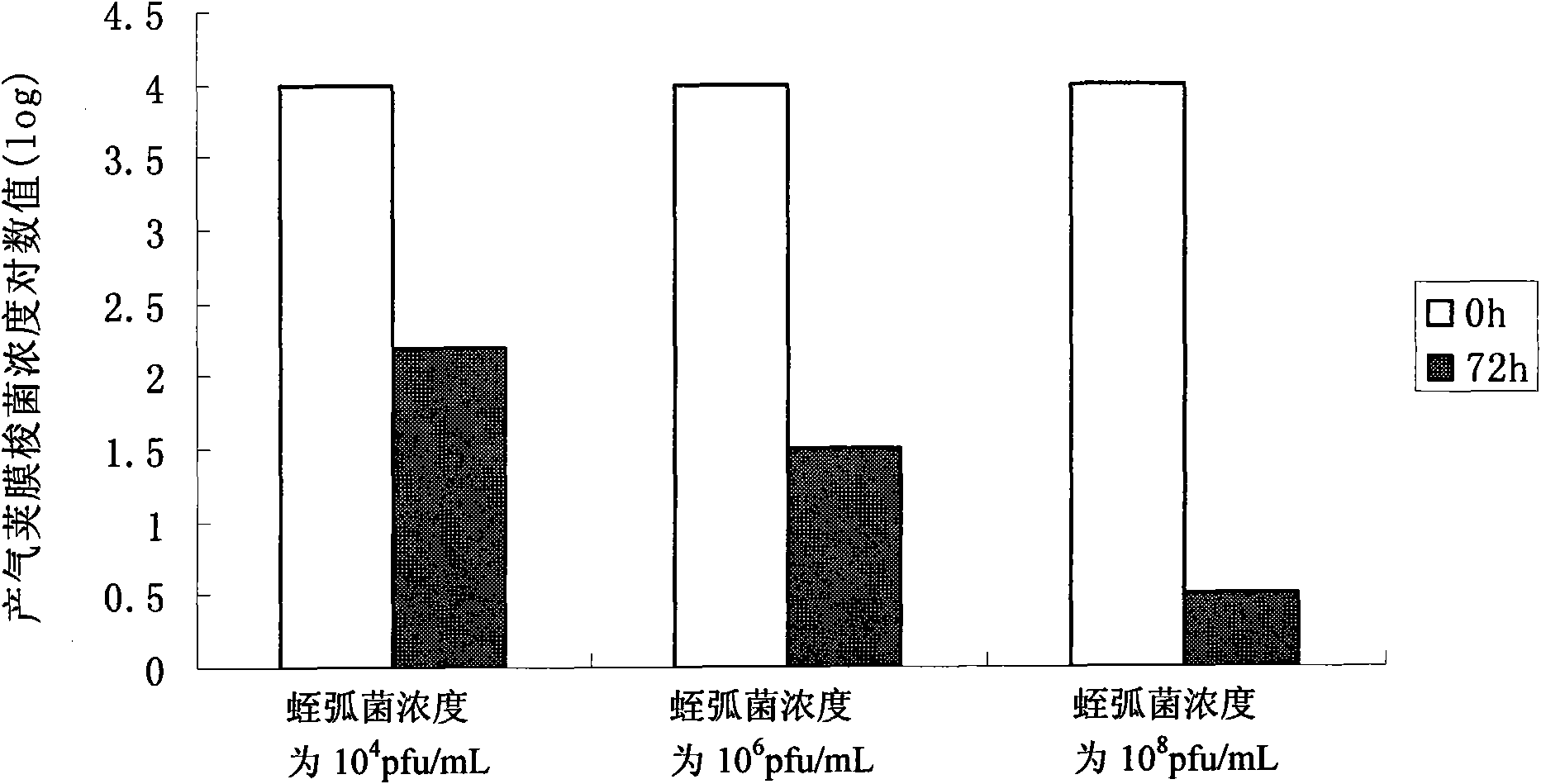 Bdellovibrio bacteriovorus bacterial strain eliminating aquatic product Gram-positive pathogenic bacterium and application thereof