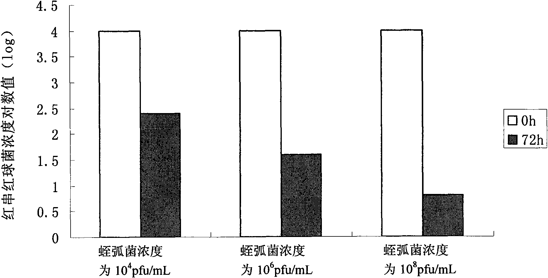 Bdellovibrio bacteriovorus bacterial strain eliminating aquatic product Gram-positive pathogenic bacterium and application thereof