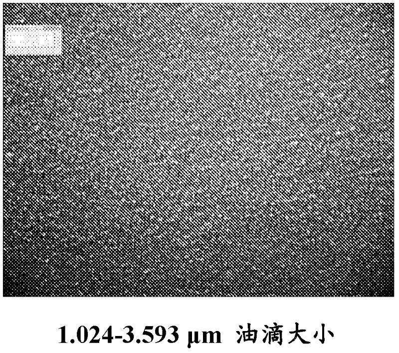 Color cosmetic comprising random terpolymer