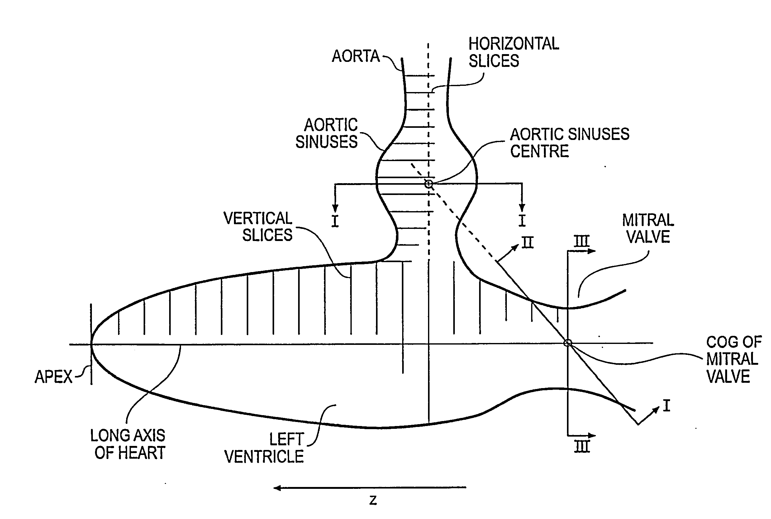 Volume rendering apparatus and method