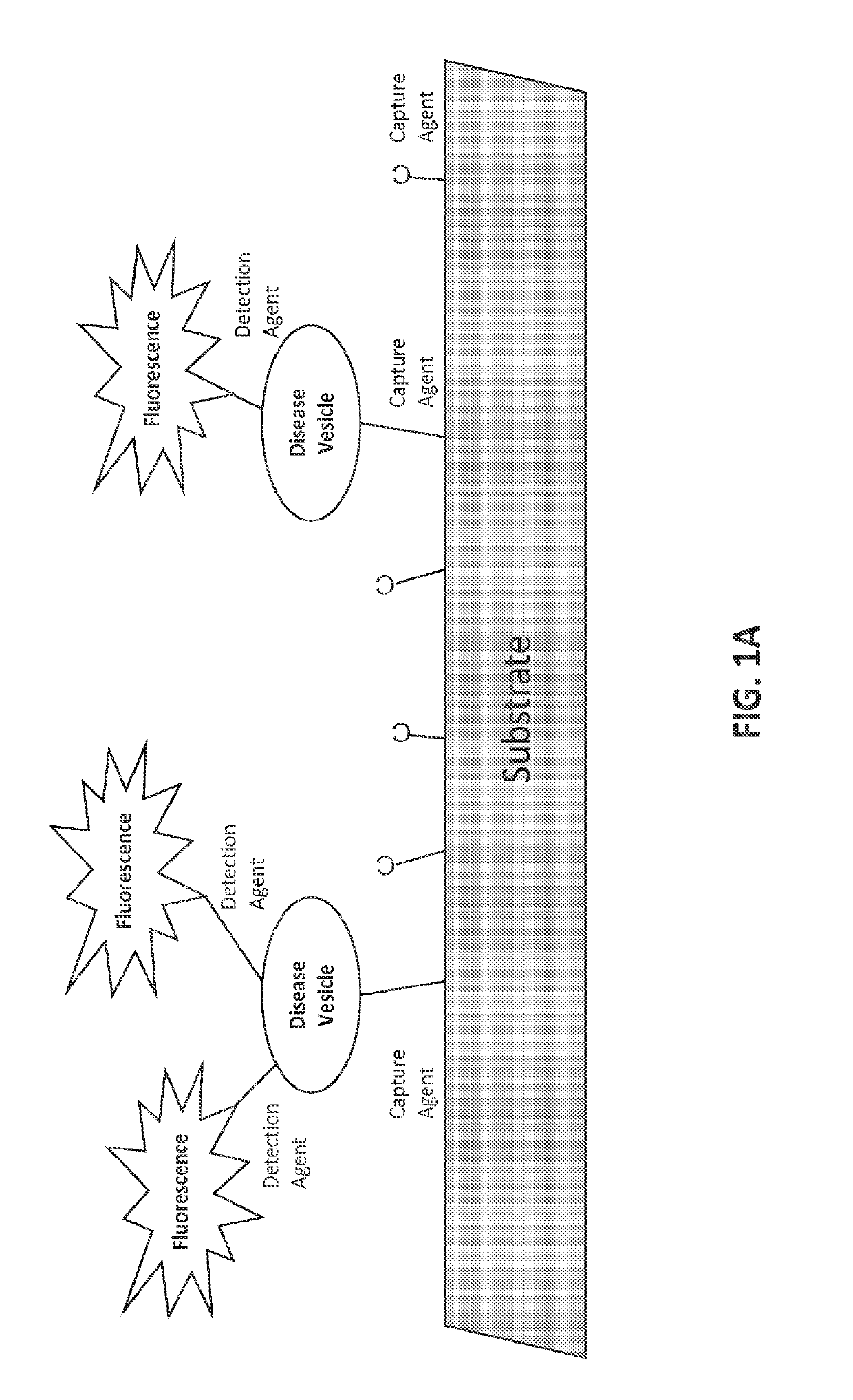 Aptamers and uses thereof