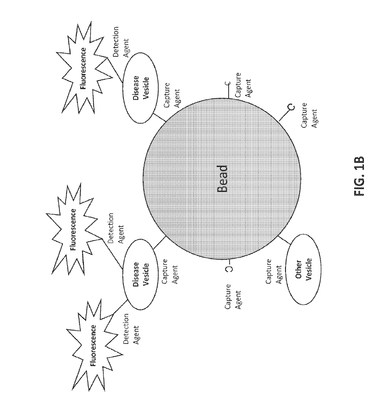 Aptamers and uses thereof