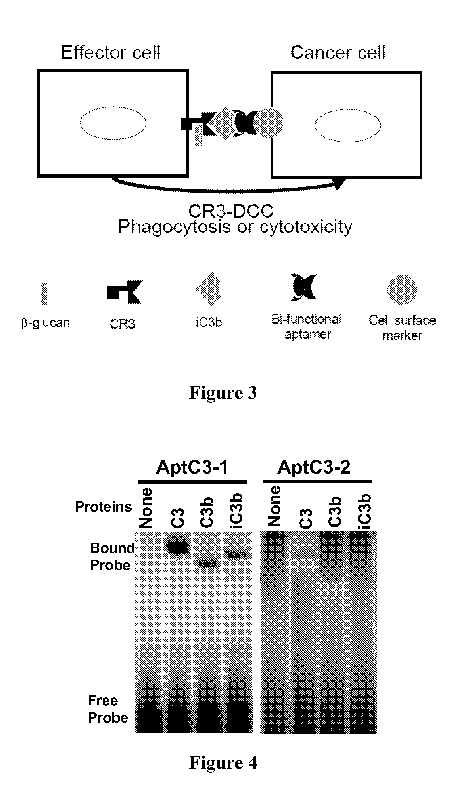 Aptamer modulators of complement protein c3 and biologically active proteolytic products thereof