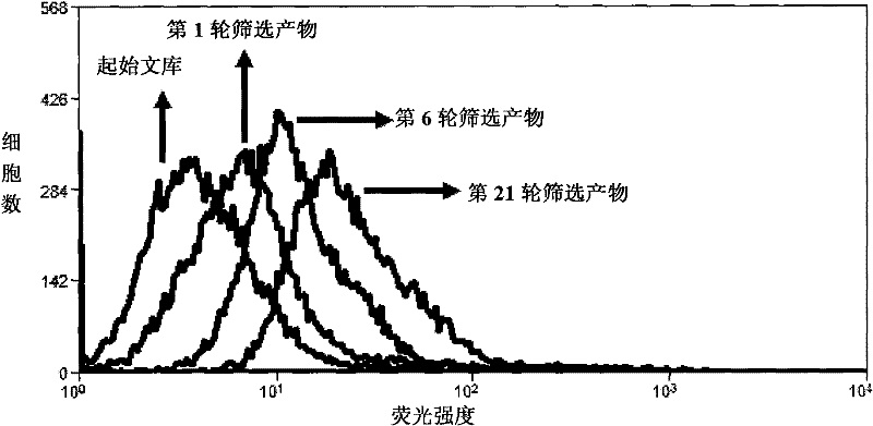 Nucleic acid aptamer for classification of different-subtype non-small cell lung cancers and screening method thereof