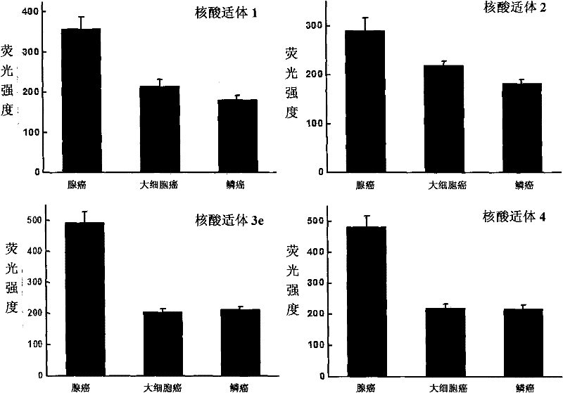 Nucleic acid aptamer for classification of different-subtype non-small cell lung cancers and screening method thereof