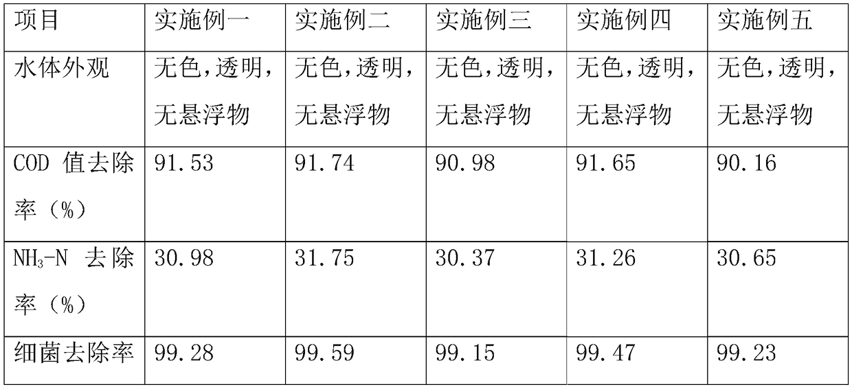 Multifunctional water treatment agent for landfill leachate and preparation method of multifunctional water treatment agent