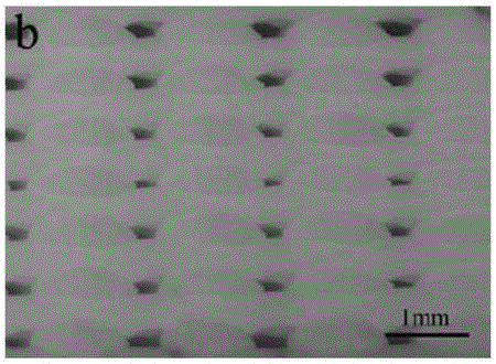 Preparation methods of ceramic slurry for air pressure extrusion type three-dimensional printing and biological ceramic bracket