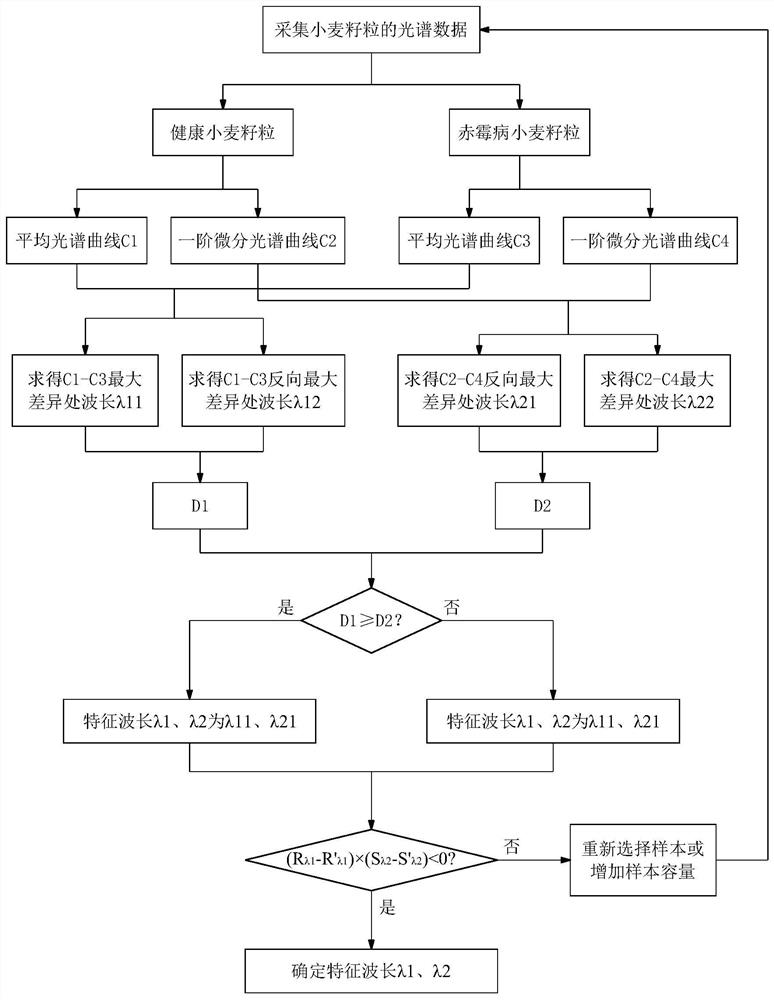 Construction and application of spectral disease index for identification of wheat scab-infected grains