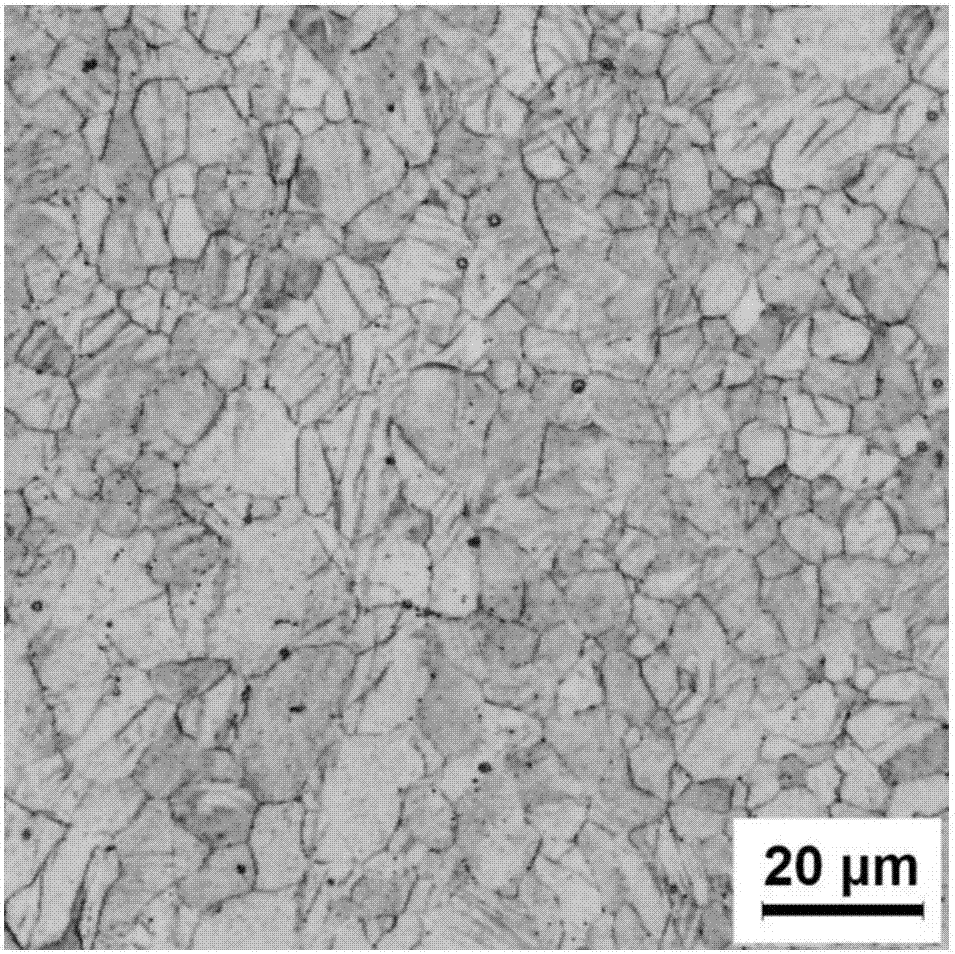 Magnesium-tin-zinc-aluminum-manganese wrought magnesium alloy and preparing method thereof