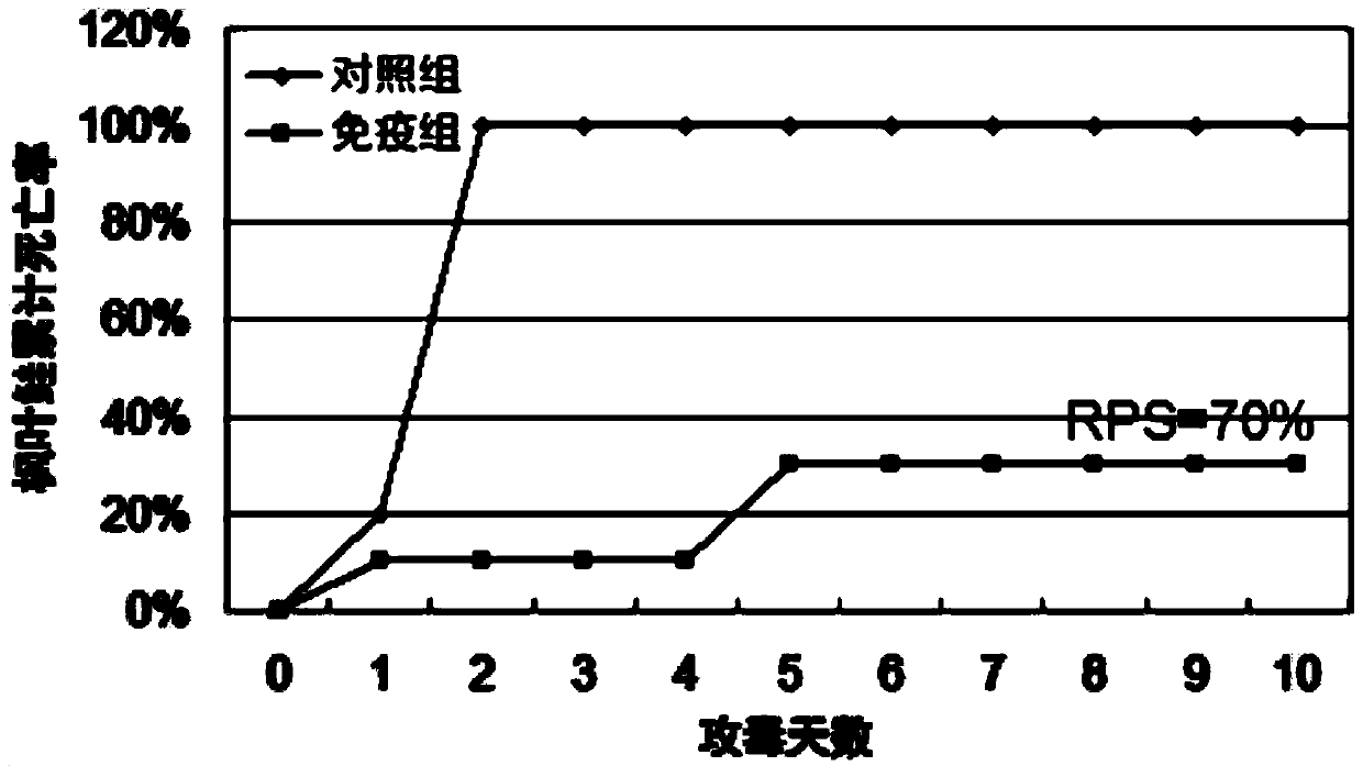 A kind of inactivated vaccine of Aeromonas salmonicida and its application