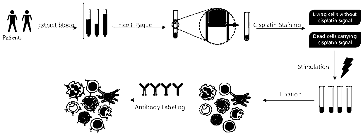 Sample pretreatment method based on flow cytometry combined with icp-ms single-cell protein detection