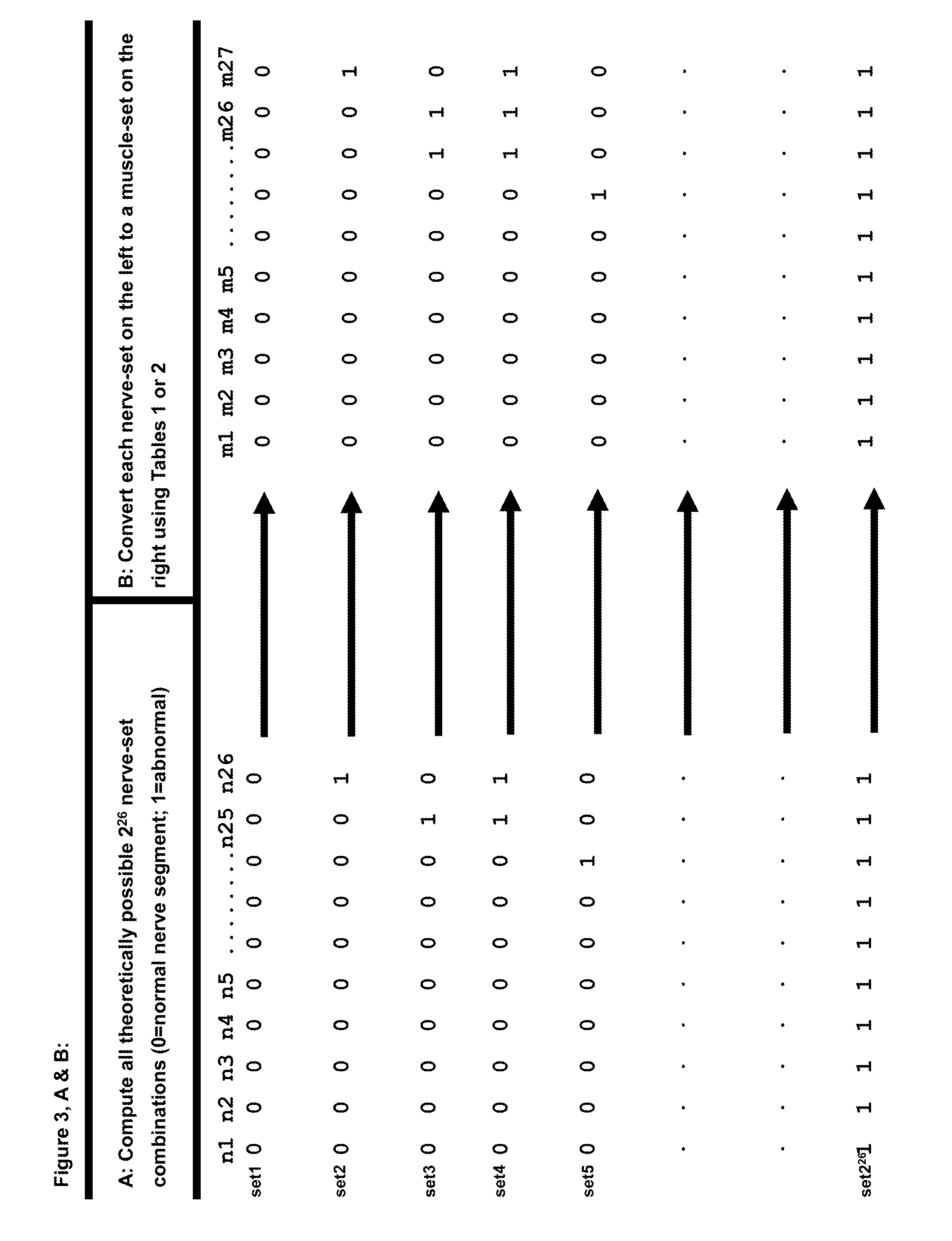 EMG ASSISTANT: A method for the automated localization of root / plexus and/or other focal nerve damage in the upper and the lower extremities using either the routine clinical-neurological or the electromyographic muscle examination