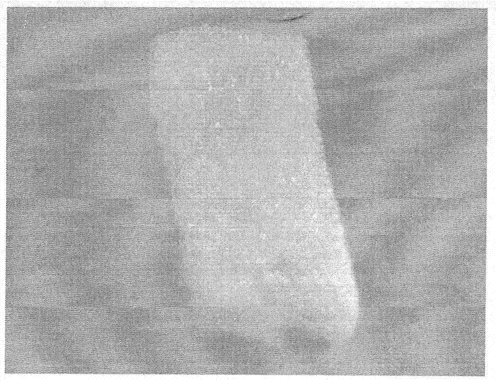 Medical hydroxybutyl chitosan sponge and preparation method thereof