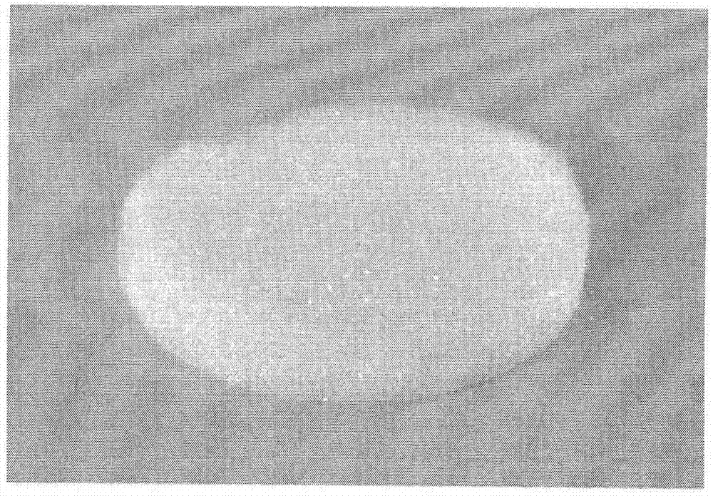 Medical hydroxybutyl chitosan sponge and preparation method thereof