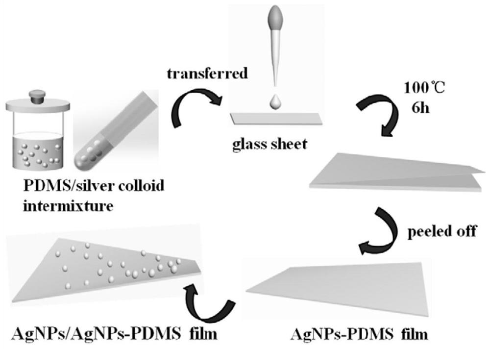 Composite flexible surface-enhanced Raman substrate based on silver nanoparticles and its preparation method