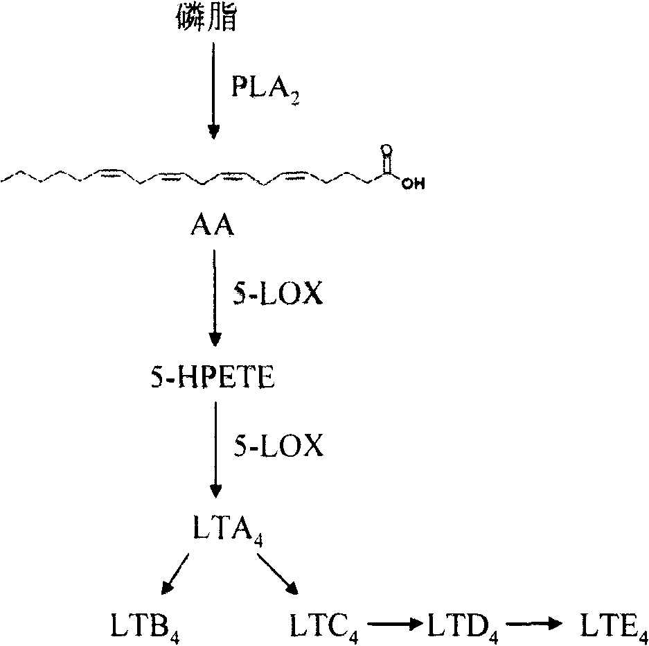 Substituted flavonoids and preparation method, application and pharmaceutical composition thereof