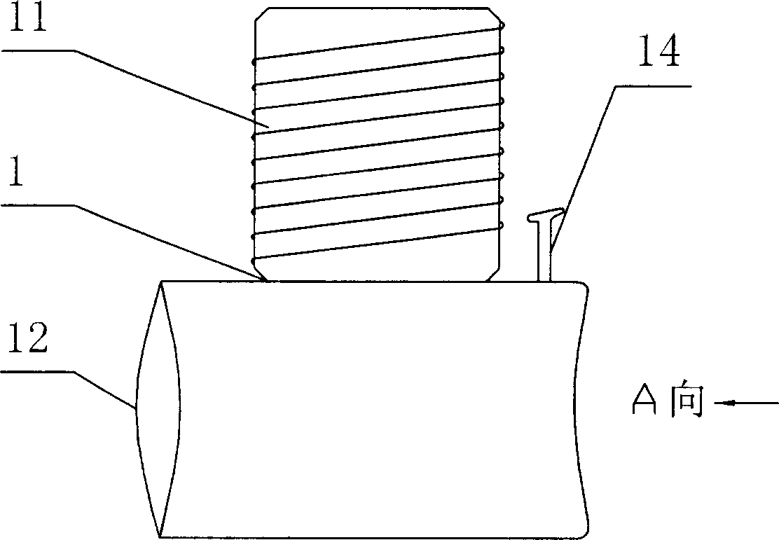 Plastic pipe and its diversion method