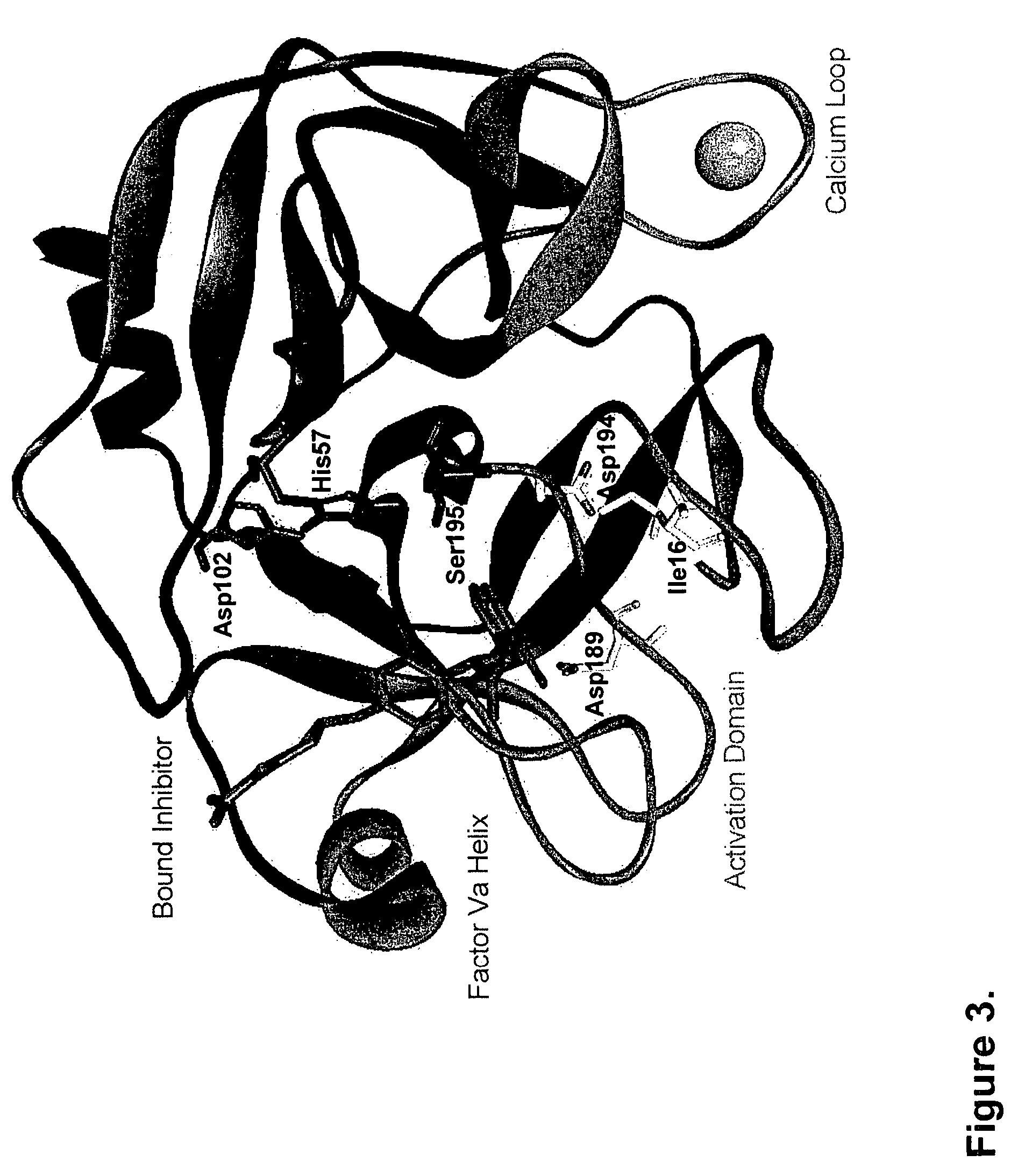 Compositions and methods for modulating hemostasis