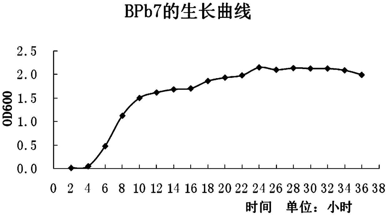 Sedum rhizosphere lead-resistant strain Providencia, screening method and its application