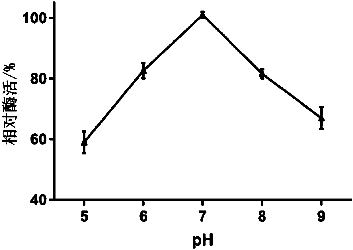 Biosynthesis method of beta-alanine