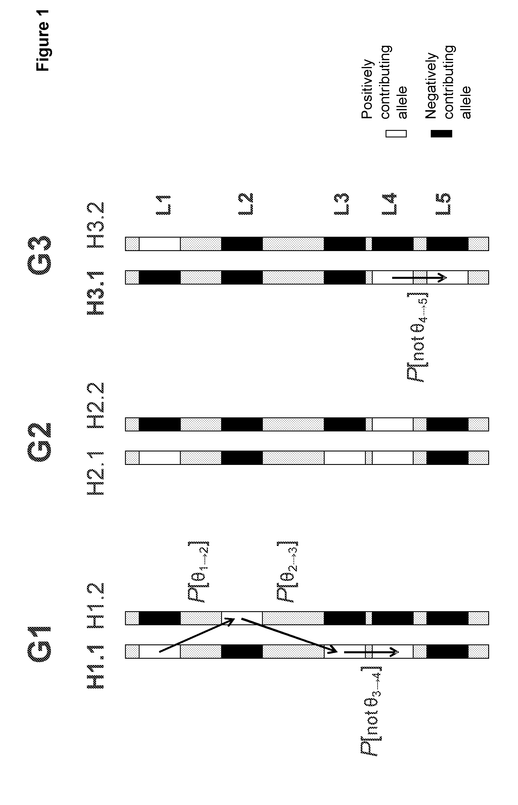 Directed strategies for improving phenotypic traits