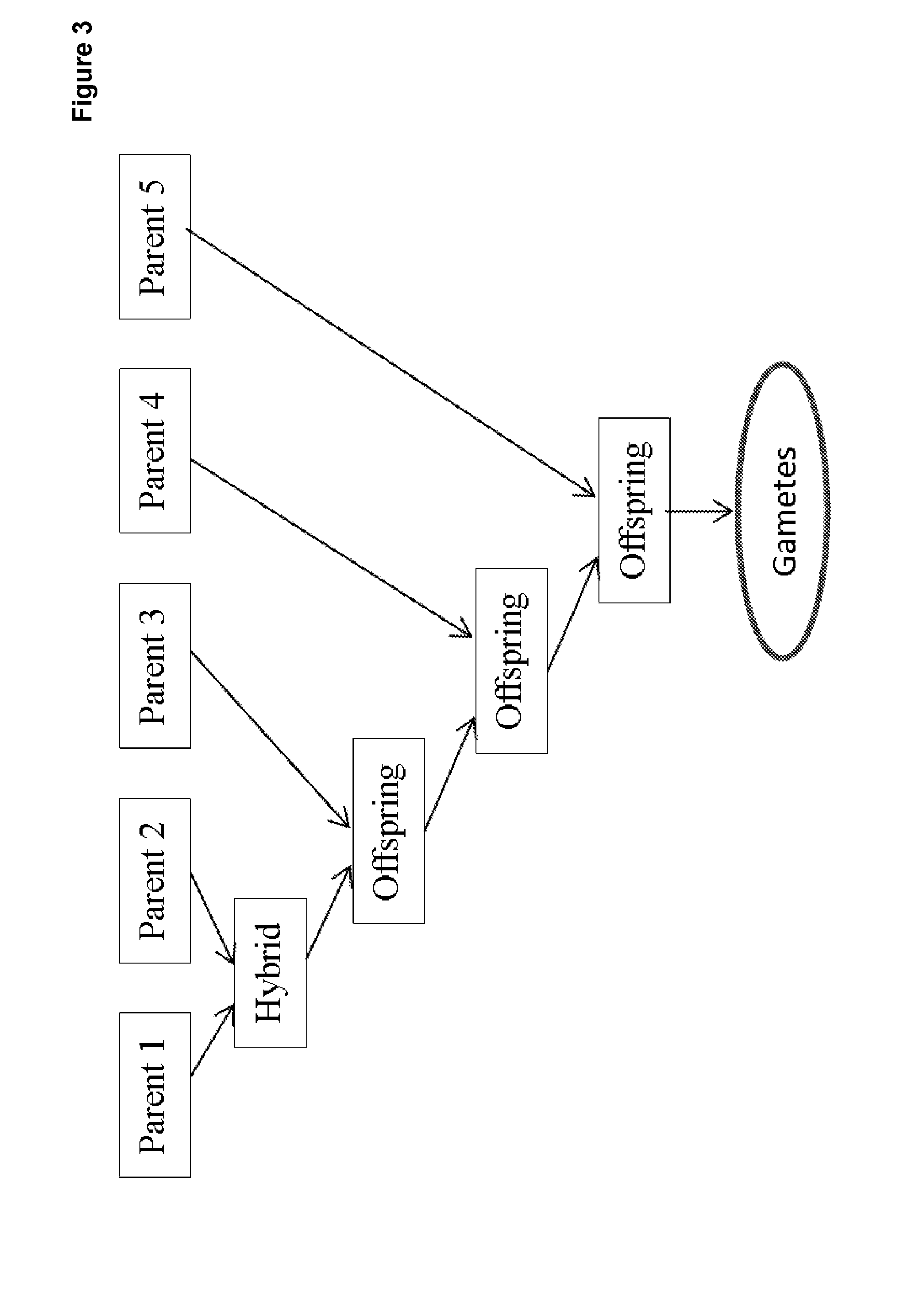 Directed strategies for improving phenotypic traits