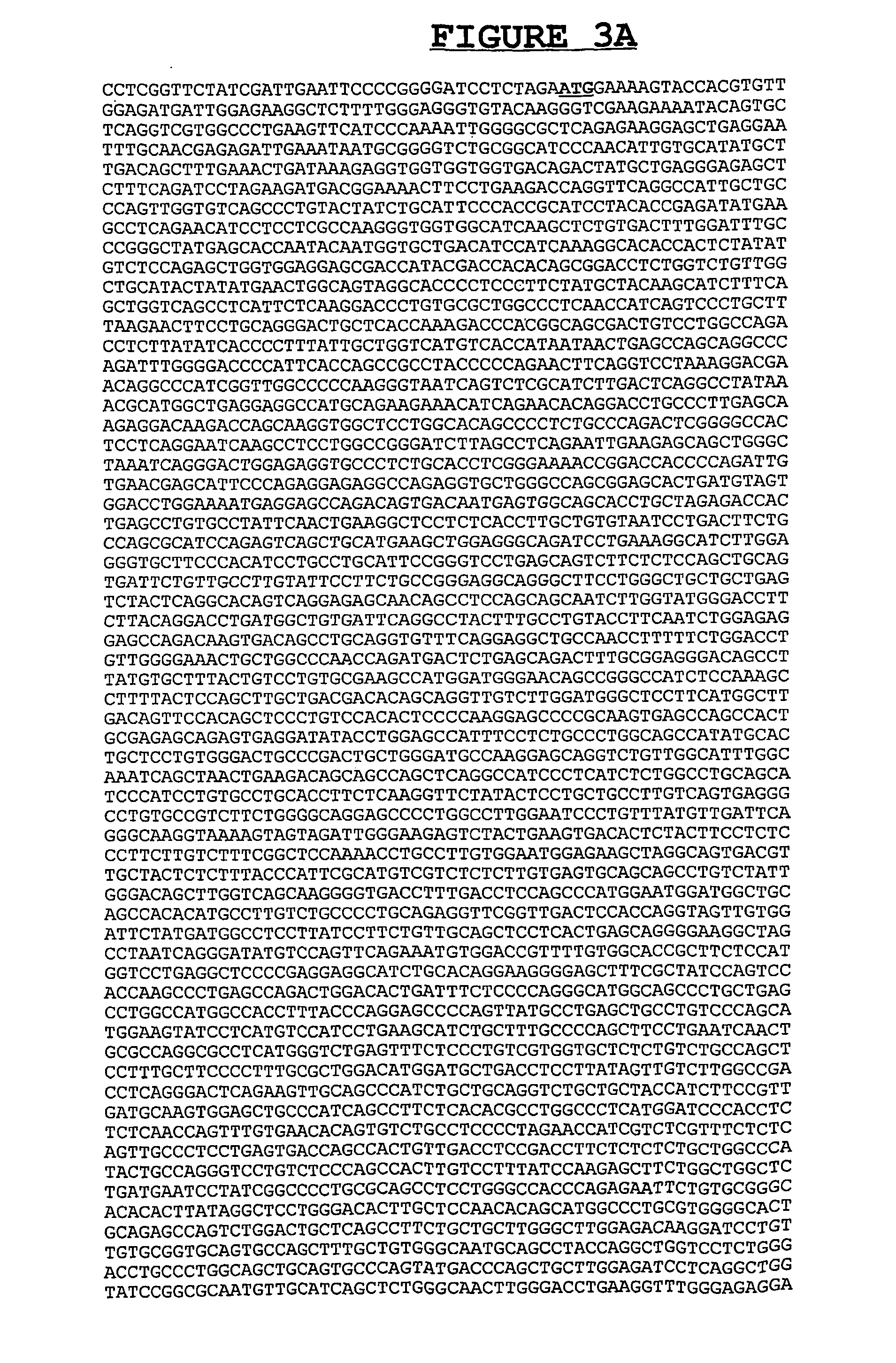 Composition and Methods for the Diagnosis and Treatment of Tumor