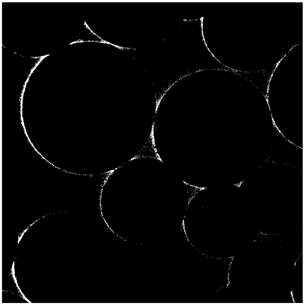 Oxygen reduction catalyst for heteroatom doped carbon microsphere loaded iron phosphide nanoparticle and preparation method of oxygen reduction catalyst