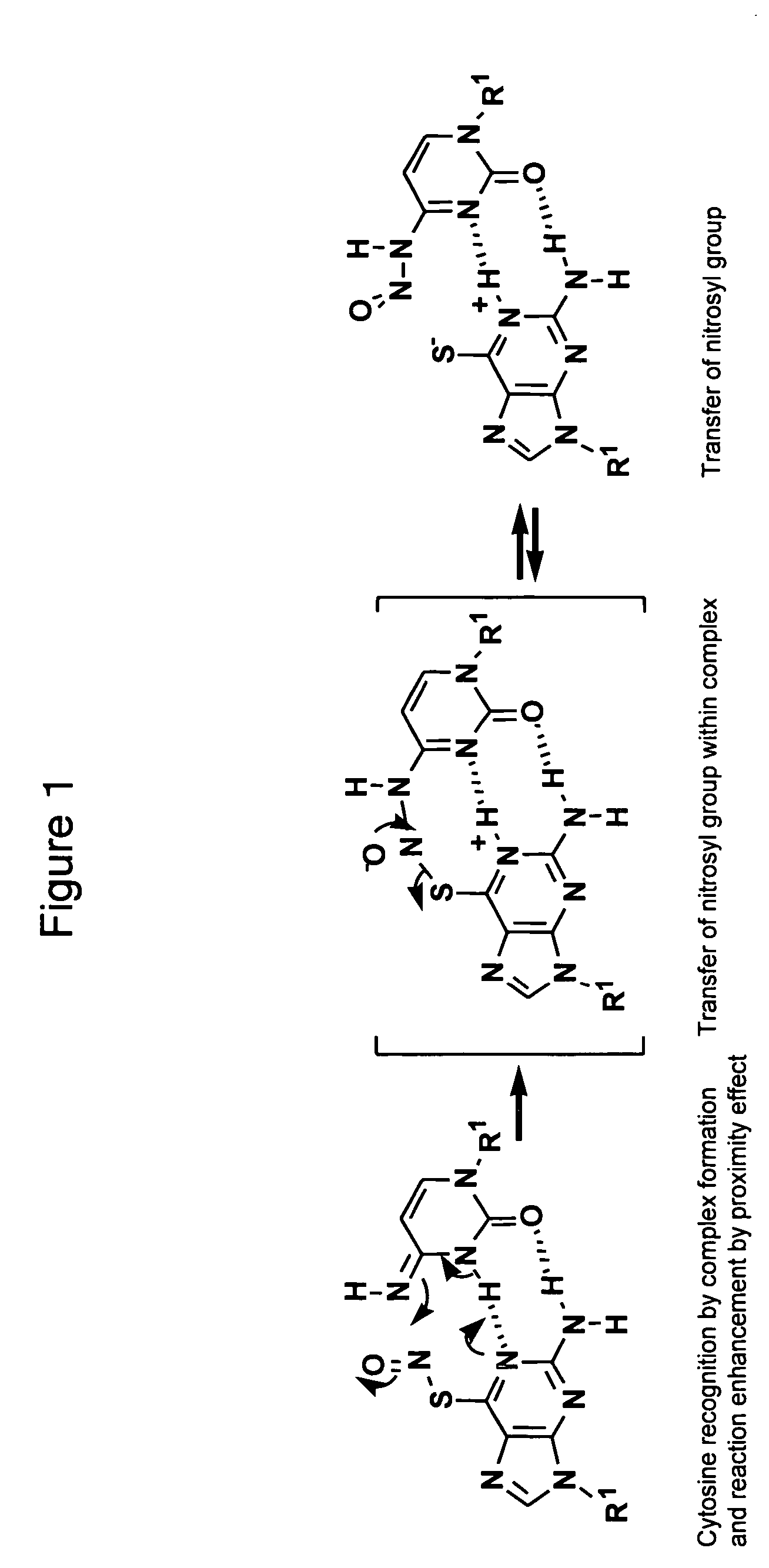 Thionucleoside-S-nitrosyl derivative