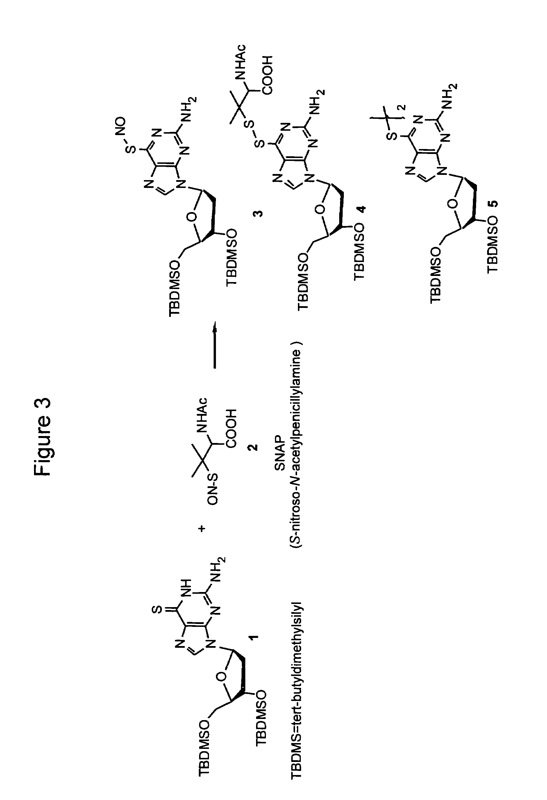 Thionucleoside-S-nitrosyl derivative