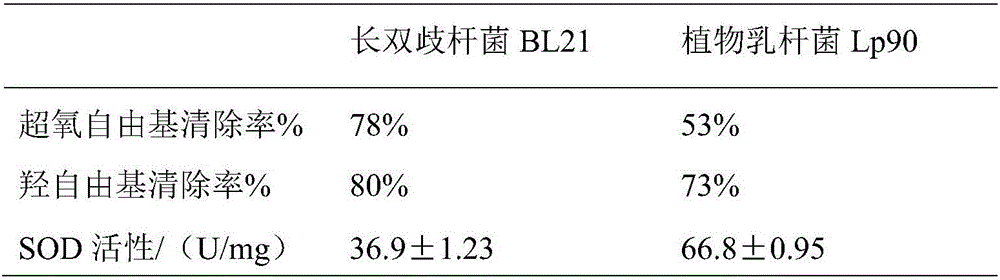 Anti-aging probiotic preparation and preparation method thereof