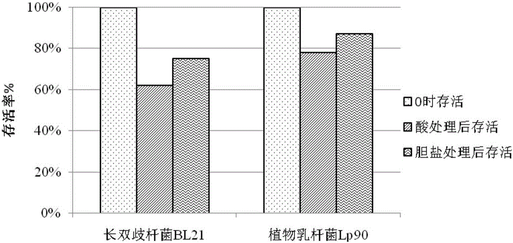 Anti-aging probiotic preparation and preparation method thereof