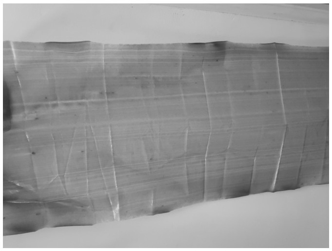 Degradable lignin-based composite agricultural mulching film and preparation method thereof