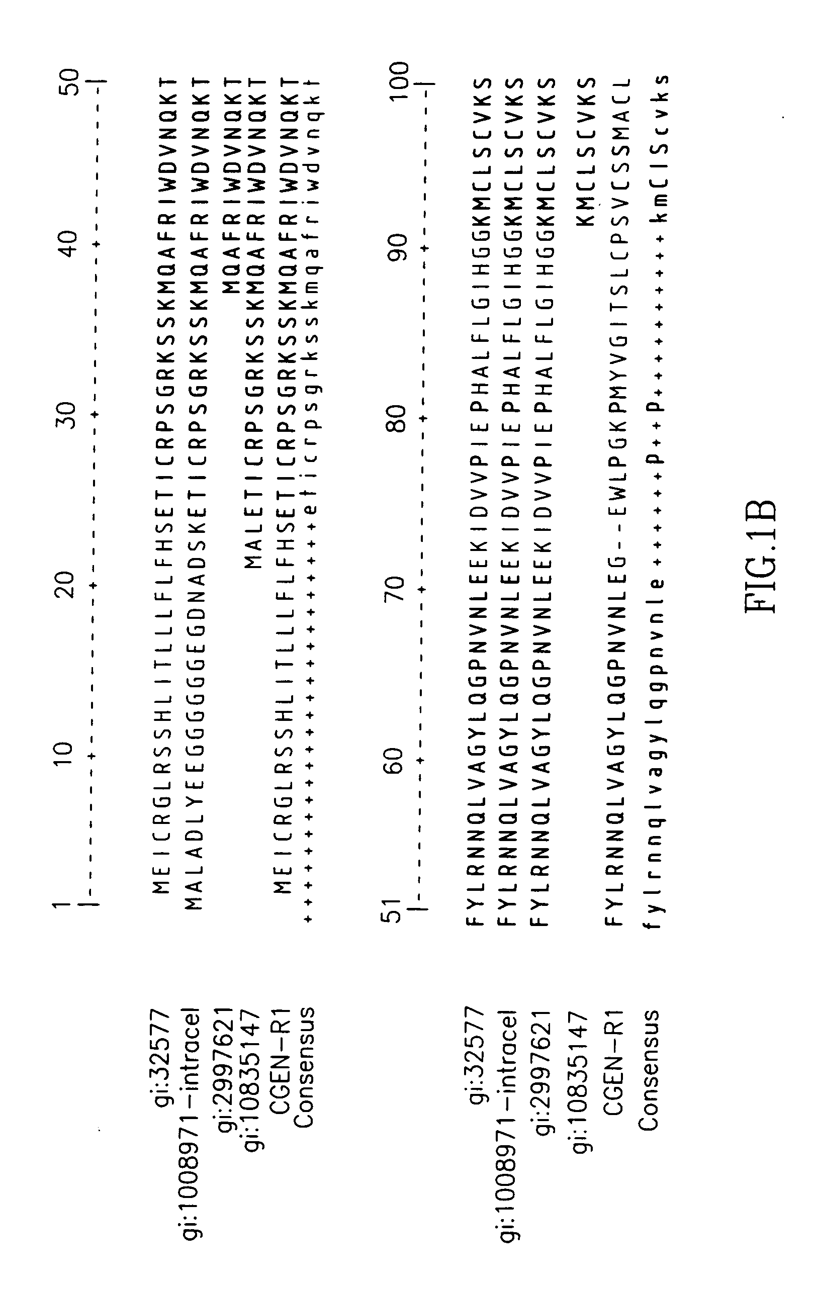 Variants of interleukin-1 receptor antagonist: compositions and uses thereof