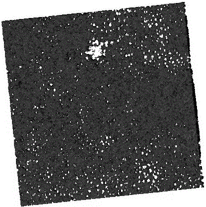 Membrane pore structure and porosity testing method based on confocal laser scanning microscopy